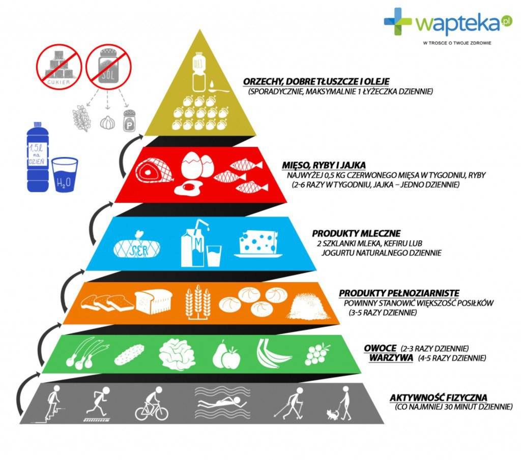 Jak jeść zdrowo? Nowa piramida żywienia 2016