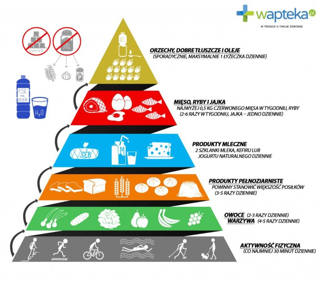 Nowa piramida żywieniowa