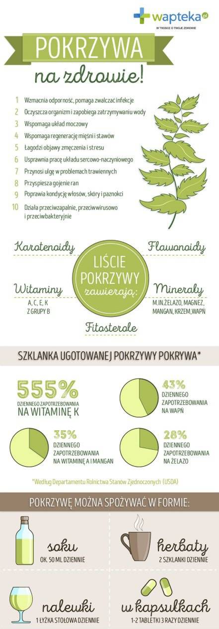 Infografika o pokrzywie