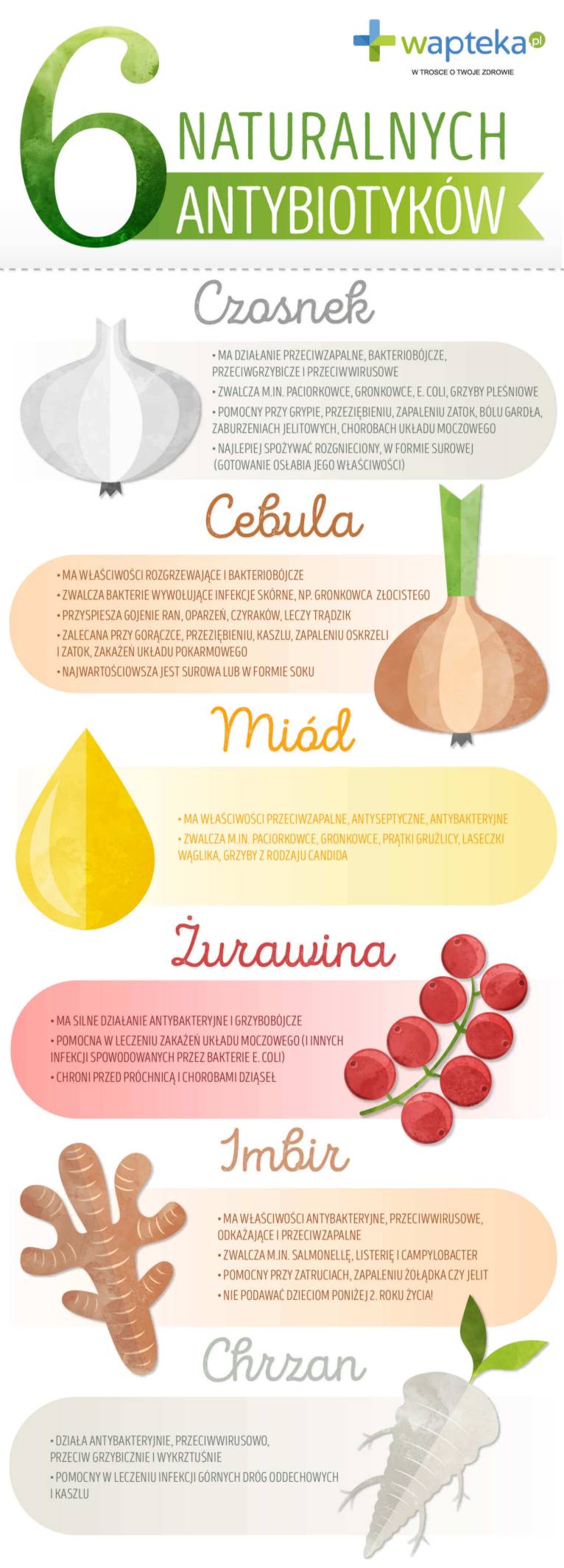 Infografika o naturalnych antybiotykach