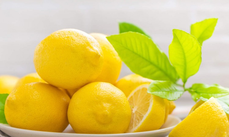 Cytryny – wartości odżywcze i właściwości prozdrowotne. Zastosowanie cytryny w kosmetyce i kuchni - zdjęcie