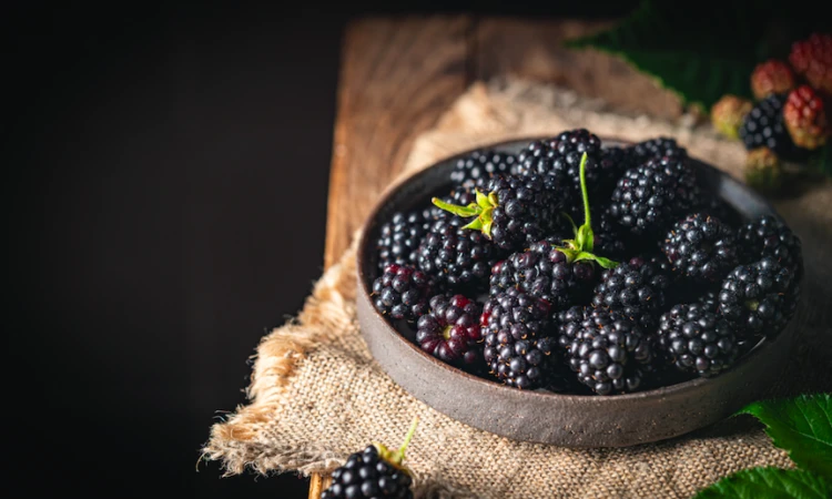 Jeżyny - polski superfood. Właściwości zdrowotne, witaminy i zastosowanie w diecie - zdjęcie