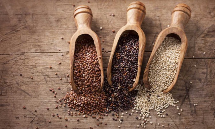 Komosa ryżowa (quinoa) – jej właściwości zdrowotne i odżywcze. Jak prawidłowo gotować komosę ryżową? - zdjęcie