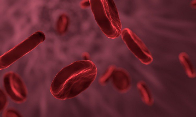 Krew w moczu – przyczyny i leczenie krwiomoczu - zdjęcie