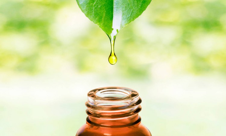 Olejki eteryczne - rodzaje olejków i ich właściwości oraz zastosowanie dla dzieci czy alergików - zdjęcie