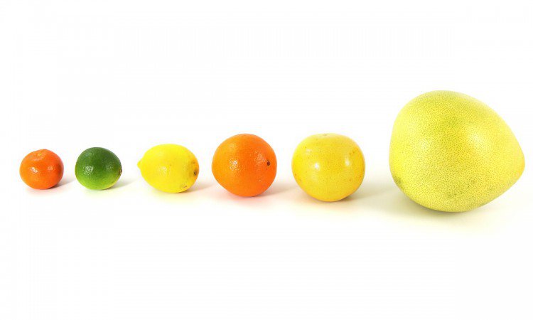 właściwości pomelo - zdjęcie