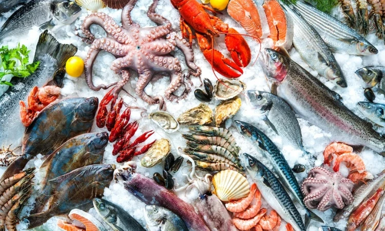 Ryby i owoce morza w diecie: odkryj walory niskokaloryczna diety odchudzającej z głębi morza - zdjęcie