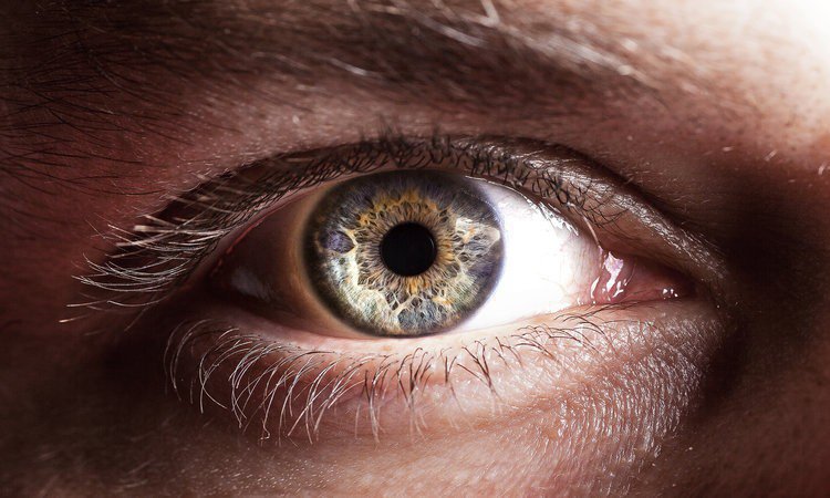 Zdrowe spojrzenie, czyli jak zadbać o zmęczone oczy [INFOGRAFIKA] - zdjęcie