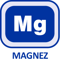 Magnez