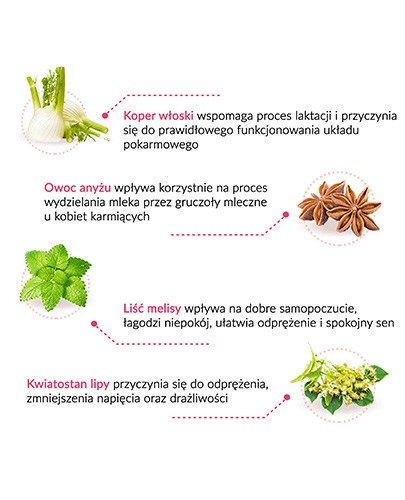Herbapol Mieszanki Apteczne Lactosan Fix zioła do zaparzania wspomagające laktację 20 saszetek