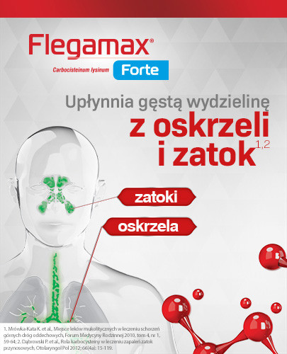 Flegamax Forte 2700 mg/saszetkę granulat do sporządzania roztworu doustnego 6 saszetek