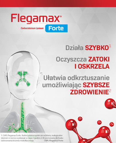 Flegamax Forte 2700 mg/saszetkę granulat do sporządzania roztworu doustnego 6 saszetek