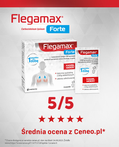 Flegamax Forte 2700 mg/saszetkę granulat do sporządzania roztworu doustnego 6 saszetek