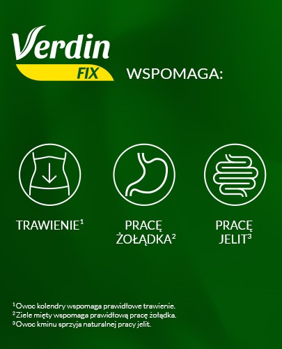 Verdin Fix mieszanka 6 ziół z owocami leśnymi 20 saszetek