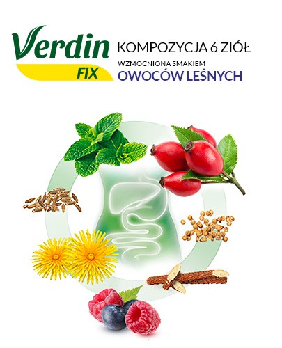 Verdin Fix mieszanka 6 ziół z owocami leśnymi 20 saszetek