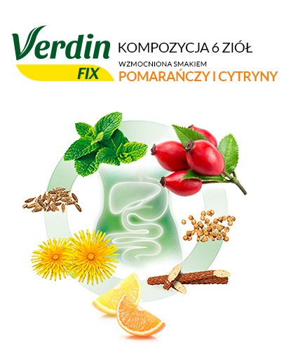 Verdin fix z cytrusami 20 saszetek