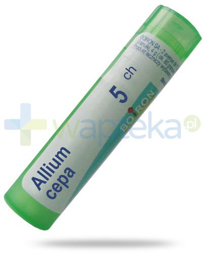 podgląd produktu Boiron Allium cepa 5 CH, granulki 4 g