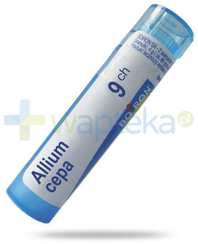 podgląd produktu Boiron Allium cepa 9CH, granulki 4 g