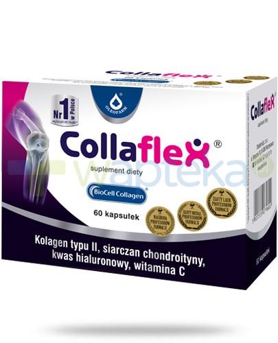 podgląd produktu Collaflex kolagen typu II + kwas hialuronowy + chondroityna 60 kapsułek