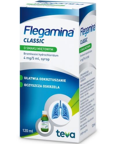zdjęcie produktu Flegamina 4 mg/5ml o smaku miętowym 120 ml