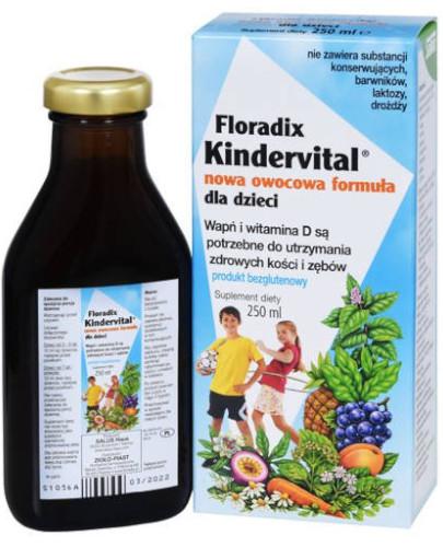 zdjęcie produktu Floradix Kindervital nowa owocowa formuła dla dzieci 250 ml
