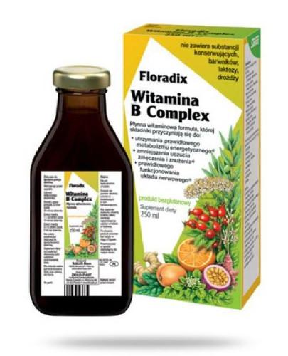 podgląd produktu Floradix Witamina B Complex 250 ml