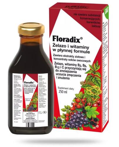 zdjęcie produktu Floradix żelazo i witaminy płyn 250 ml