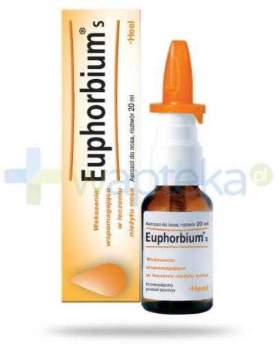 zdjęcie produktu HEEL Euphorbium S aerozol do nosa 20 ml
