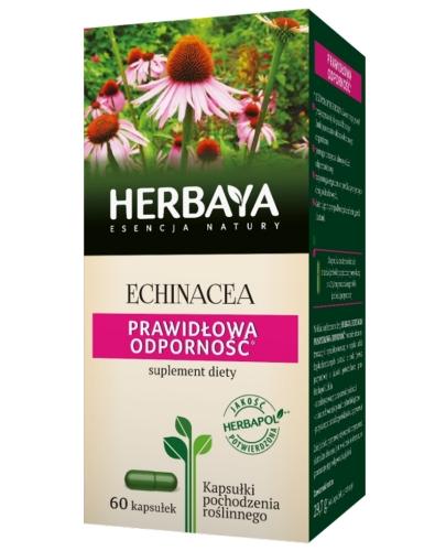 podgląd produktu Herbaya Echinacea, prawidłowa odporność 60 kapsułek