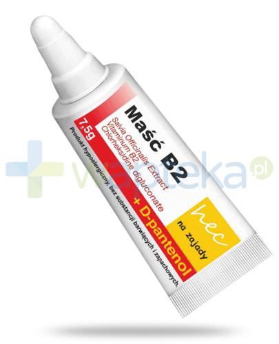 Maść B2 Hec D Panthenol Na Zajady 75 G