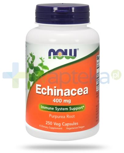 podgląd produktu NOW Foods Echinacea 400mg 250 kapsułek vege