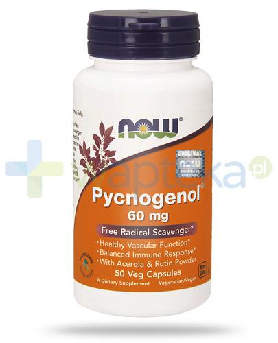 podgląd produktu NOW Foods Pycnogenol® wyciąg z kory sosny śródziemnomorskiej 60mg 50 kapsułek