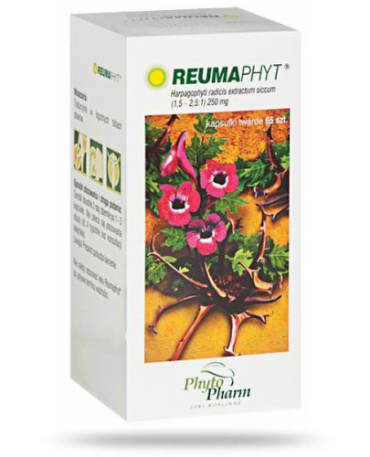 zdjęcie produktu Reumaphyt 250 mg 65 kapsułek