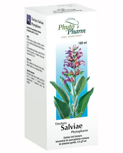 zdjęcie produktu Tinctura Salviae 4,5 g/5ml koncentrat do sporządzania roztworu do płukania gardła 100 ml Phytopharm