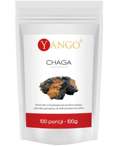 podgląd produktu Yango Chaga ekstrakt 40% polisacharydów 100 g