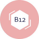 B12