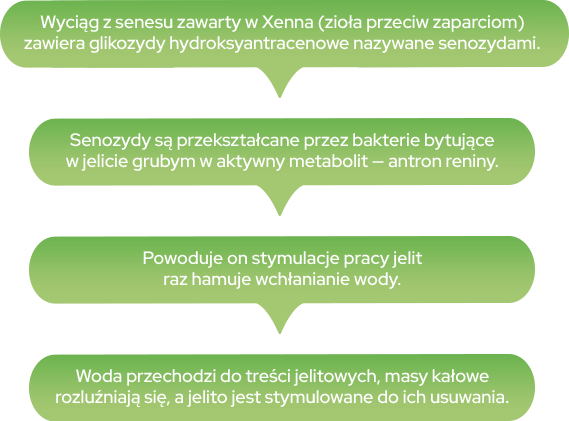 XENNA zioła - schemat działania