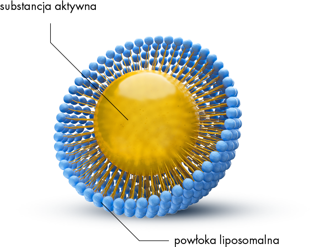 liposomalna vt C